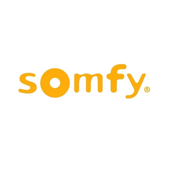 Moteur sOmfy + télécommande